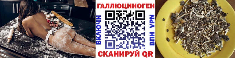 Псилоцибиновые грибы Cubensis сколько стоит Раменское