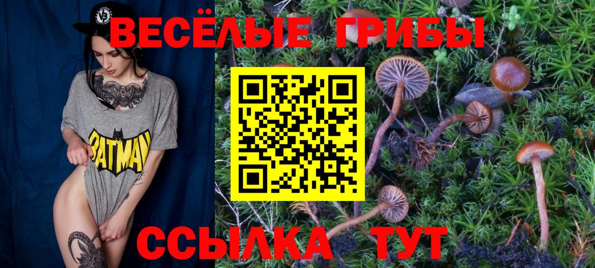 Галлюциногенные грибы прущие грибы  как найти наркотики  Раменское  Вход с VPN 