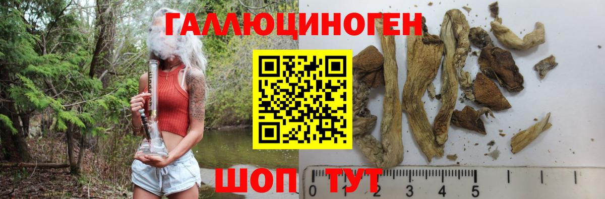 Псилоцибиновые грибы Magic Shrooms Раменское
